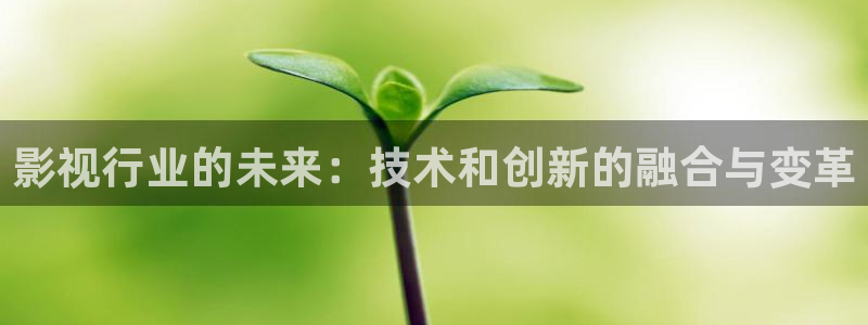 星海之外定档海报