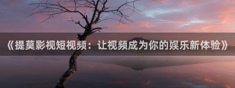 星海之外定档海报