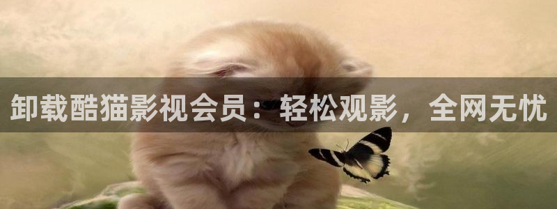 星海之外定档海报